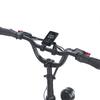 Electric Cargo Bicycle Fafrees 20" F20 Mate 250W Motor Foldable E-Bike Top Speed 25km/h LCD Display 48V 20Ah Dual Hydraulic Brake Max Load 180Kg