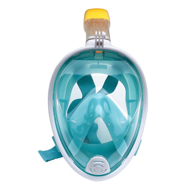 Full Face Dry Snorkel Mask