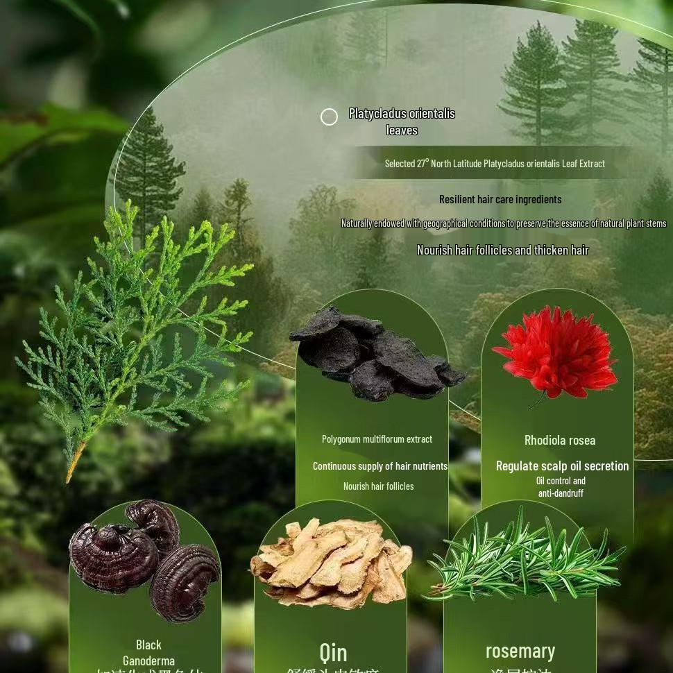 Cypress Leaf Usman Shampoo Soap: Refreshing Anti-Breakage, Anti-Dandruff, Anti-Itch Hair Wash for Bright Black Hair, Pure Powder Ancient Method Soap.