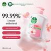 Dettol Healthy Antibacterial Hand Wash Moisturizing Care Duo Set
