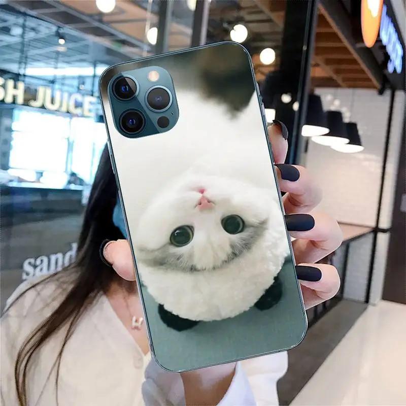 Etui na telefon komórkowy iPhone 15 Mini, urocze etui na telefon komórkowy z motywem kota, malowane, odporne na upadki i chroniące dłoń przed upadkiem.