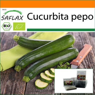 Garden in the Bag - Bio - Zucchini - Nero di Milano - 6 Samen - Mit Substrat im passenden Standbeutel - Cucurbita pepo