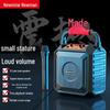 Newman K220 Tragbarer Bluetooth Karaoke-Lautsprecher (CN-Version)