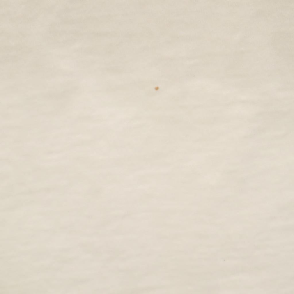 Palm Angels Short Sleeve T-shirt M White Doberman Men's Used