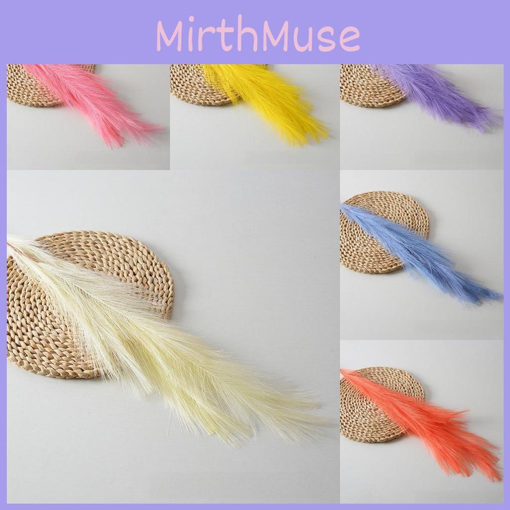 Phragmites Faux Australis Kolorowy Kwiat Piórowy Dekoracja Ścienna Do Projektu Imprezowego