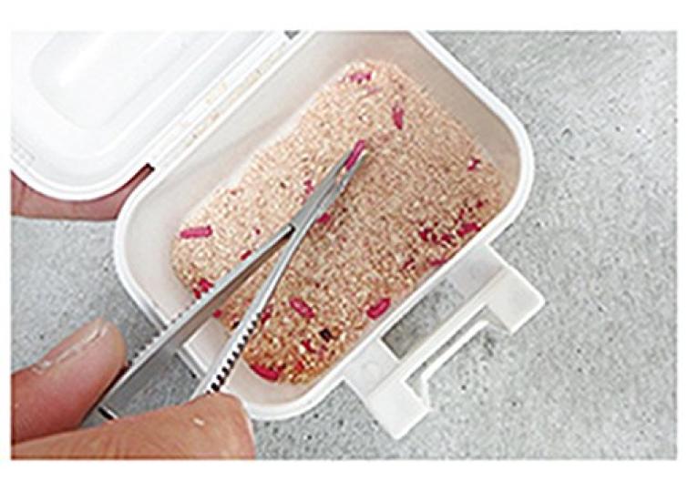 Prox Tweezers Pliers PX902S S S/12cm