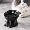 2pcs Set - Elegant Black/Pure White Elevated Pet Bowls with 15° Tilt – Anti-Spill Raised Pet Feeding Bowls,   Non-slip Cat Double Bowls with