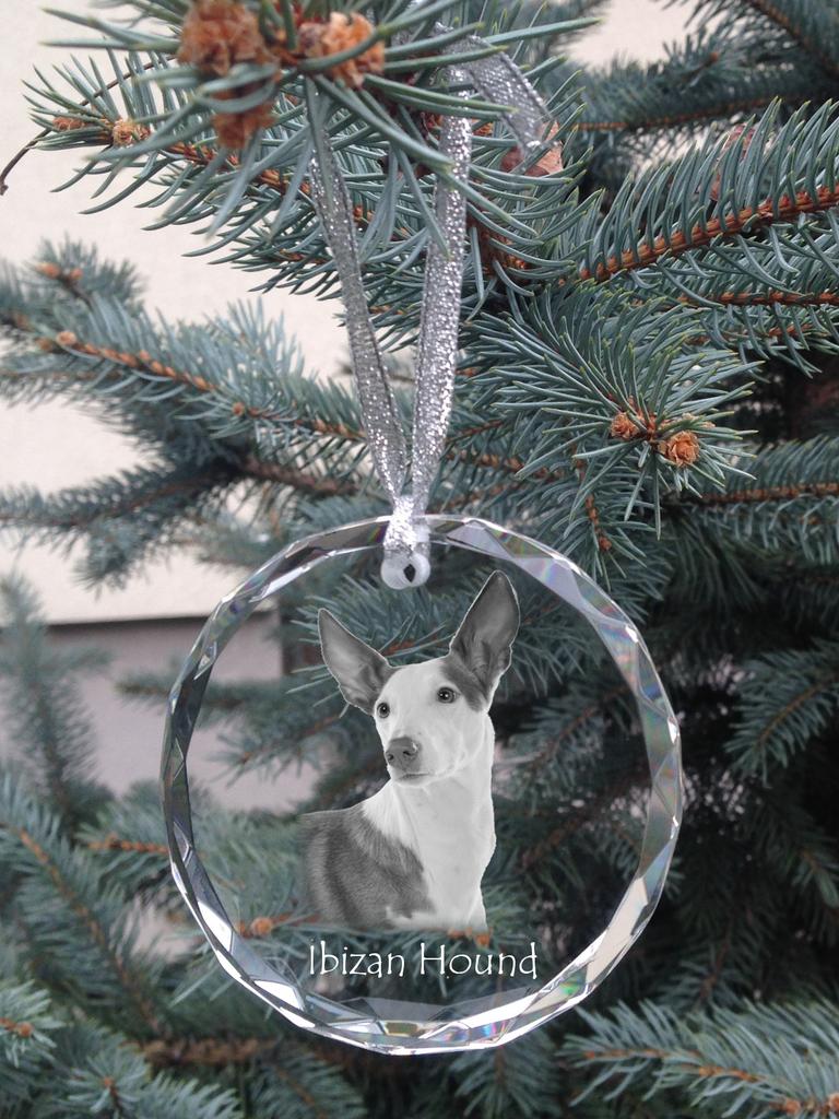 Ibizan Hound, Ibizan Podenco - Crystal Bauble with a Photo, Dog Photo In Crystal, Personalized Christmas Tree Ornament by Art-Dog Brand