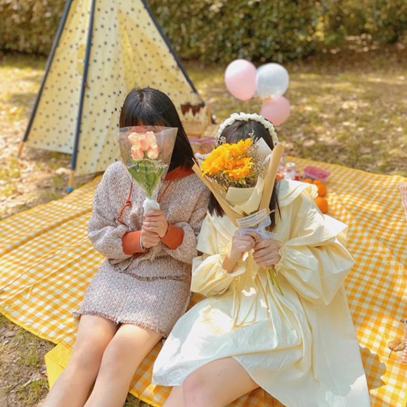 Portable Waterproof Outdoor Picnic Mat - Thick, Moisture-Proof, Non-Woven Fabric Lawn Cushion