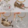 Cartoon Cat Dog Shape Hair Storage Pendant Cute Transparent Hair Storage Box Keychain Diy Bag Pendant Souvenir Collection Gift