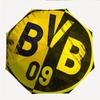 BvB 09 Fashionable Automatic Opening/Closing Folding Umbrella. Portable and Foldable, Ideal for Gift, Travel, and Daily Use.