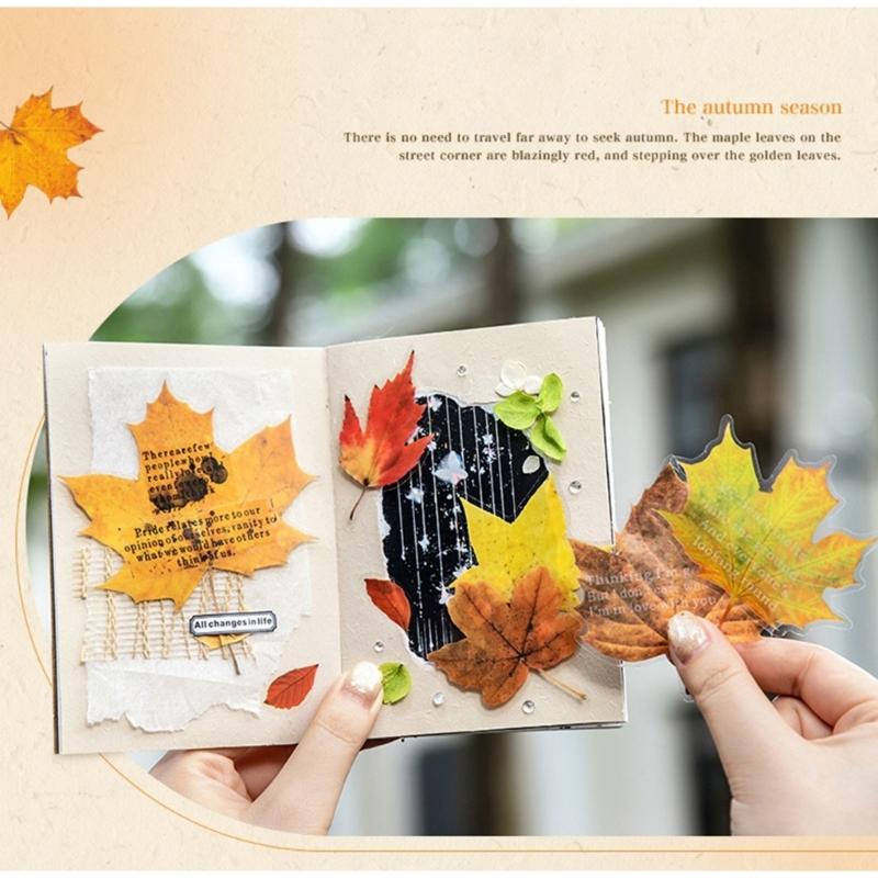 Leaf Sticker Removable Adhesive PET Sticker Label for Notebook Journal Phone Case Scrapbooking and Gift Wrapping