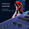 F&D PA300 Portable Outdoor Karaoke Bluetooth Speaker CN plug (adapter included)