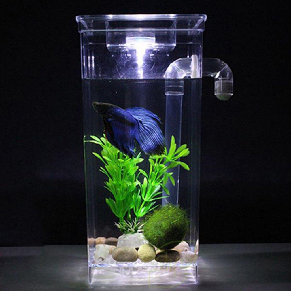 mini complete aquarium