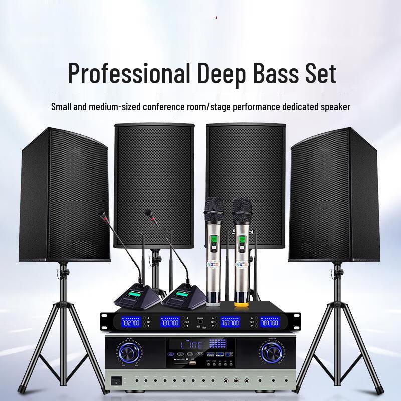 Laicai Professional Audio System with 10-inch Speakers & Microphone