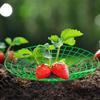 1/3Pcs Round Strawberry Stand Anti-ground Anti-corrosion Strawberry Cradle Support with Three Sturdy Legs Trellis Planter Insert