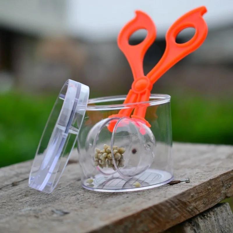 2025 New Practical Reptile Feeding Clamp, And Cleaning Tool Poop Scoop For Tortoise Frog Spider Cricket 1/2sets