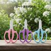 Stainless Steel Pruning Shears Flower  Horticulture Potted Plants Pruning Shears Flower Pruning Shears Garden Tools