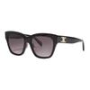 Celine Irregular Shape Sunglasses With Mirror Leg Pattern Design Women sunglasses Multicolor CL40235F