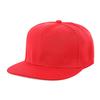 Spring/Summer Trendy Unisex Polyester Flat Brim Hat with Embroidered Logo - European & American Style