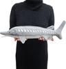 Exciting Illustrated Guide - Freshwater Creatures Edition Animal Plush Toy (Sturgeon)