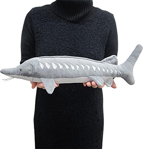 Exciting Illustrated Guide - Freshwater Creatures Edition Animal Plush Toy (Sturgeon)