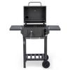 Grill Węglowy Berdsen Bd-892