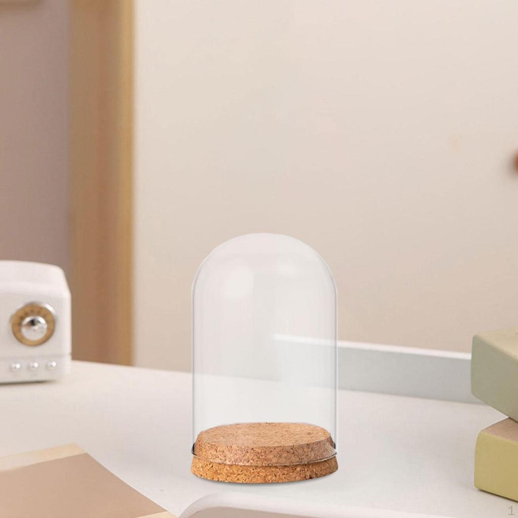 Cloche Bell Jar Display Dome Case with Wood Base Container Centerpieces Cover