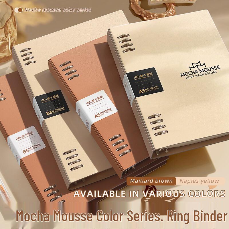 B5 60-Sheet Loose-Leaf Notebook