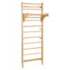 Swedish Ladder Wall Gym, 10-Level Solid Wood Indoor Jungle Gym, 220lbs Loading Indoor Playground Climbing Ladder for Kid Adults, Gymnastic Stall Bars