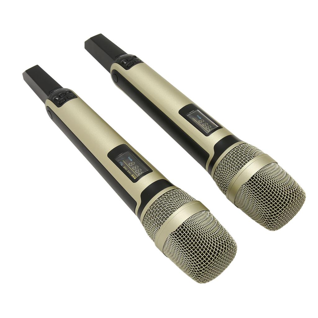 Wireless Microphone System Professional 1 for 2 Handheld Dynamic Mic System with Receiver and LCD