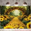 Pentru studiouri foto – Fundaluri pentru studiouri fotografice