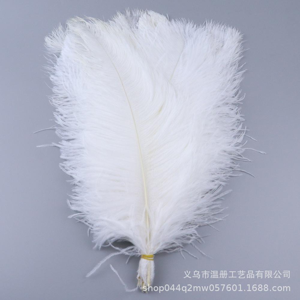 45-50Cm South African Ostrich Hair Modern Feather Lamp Wedding Stage Decoration High Quality Ostrich Hair