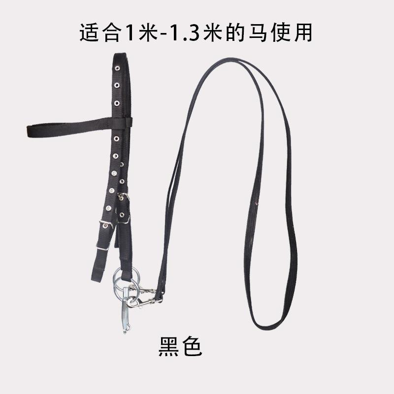 Standard Thread Plate Riding Bridle Reins Suitable for Horses and Ponies