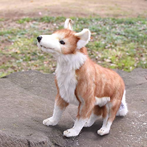 BH5207 HANSA Coyote 35