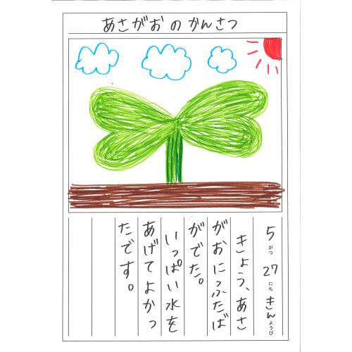 Sakura Crepas water-based color felt pen 12 colors SK-M12