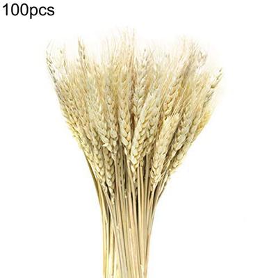 100PCS Artificial Wheat Dried Flowers Realistic Dried Wheat Sheaves for Christmas Evening Party