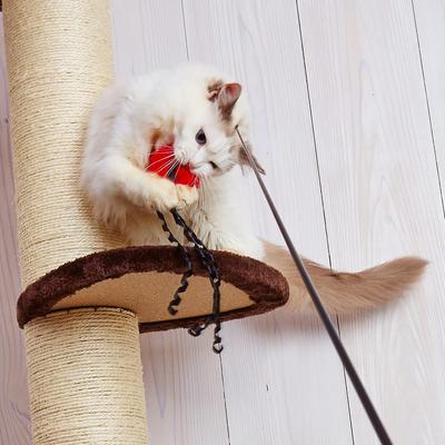Petio Cat Toy Fishing Lover Nyanpei Special Replacement Parts Octopus Big Propera