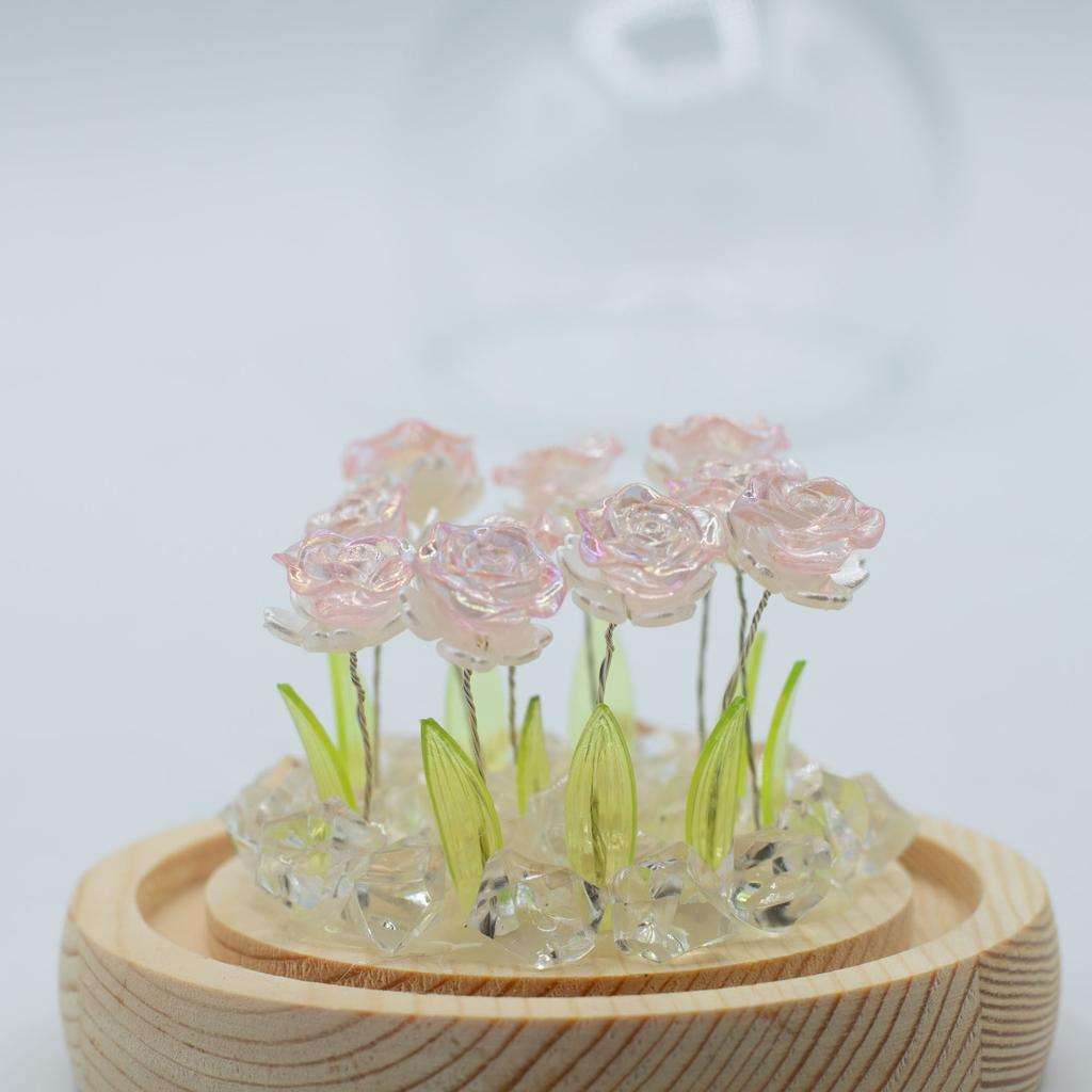 Floral Glow Garden Dome – 10 Pink Roses – LED USB