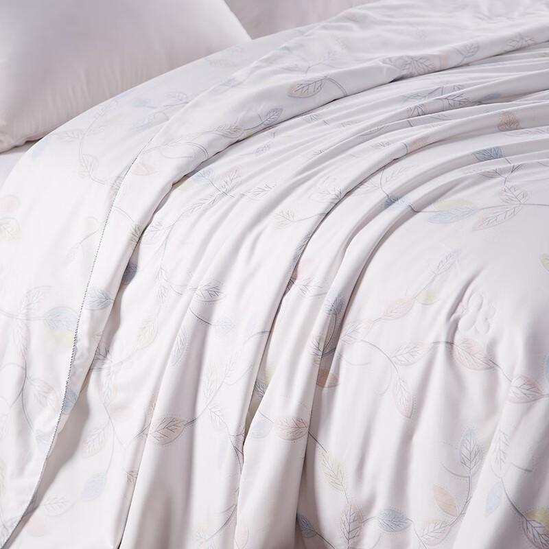 Hengyuanxiang TSB1041 Mulberry Silk Quilt