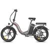 FAFREES F20+ All-Terrain Adult Electric Bicycle 20×3.0 Inch Fat Tires Outdoor  Electric Bike 250W Motor 36V20Ah Battery Urban Commuting E-Folding Bike