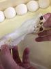 Freshly Made Round Rice Cakes 10 Pieces 1 Bag Small White