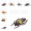 Insect Collectors Set With Pvc Wasps Ants Crickets Realistic Animal Models For Science Projects And Gifts