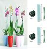 Plant Supports Water-Resistant Anti-Fade Easy To Install No Peculiar Smell Convenient Grow Upright Reusable Orchid Clip Fixing Stakes Home Supply