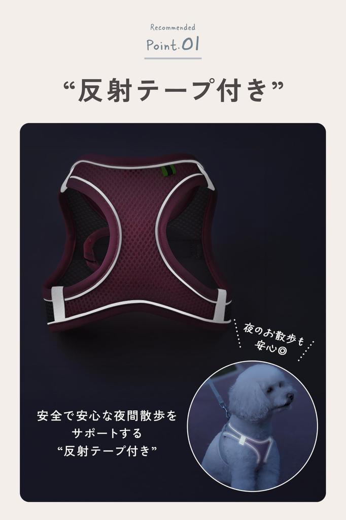 Inu No Kurashi Dog Harness and Leash Set for Small for Safe Available In 2 Sizes and 3 Colors Dogs, Adjustable, Fluorescent, Reflective, Nighttime,