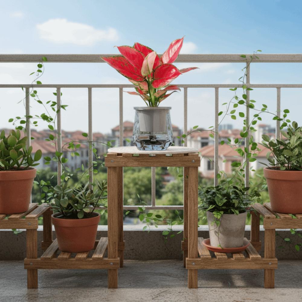 Removable Hydroponic Plants Pot Plastic Office Bonsai Decor Mini Succulent Planter Tabletop Vase