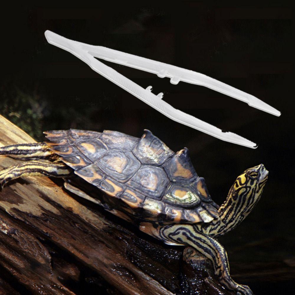 

Long Handle Animal Feeder Clamp Straight Tweezer Reptile Feeding Tweezer Tortoise Feeding Tongs білий
