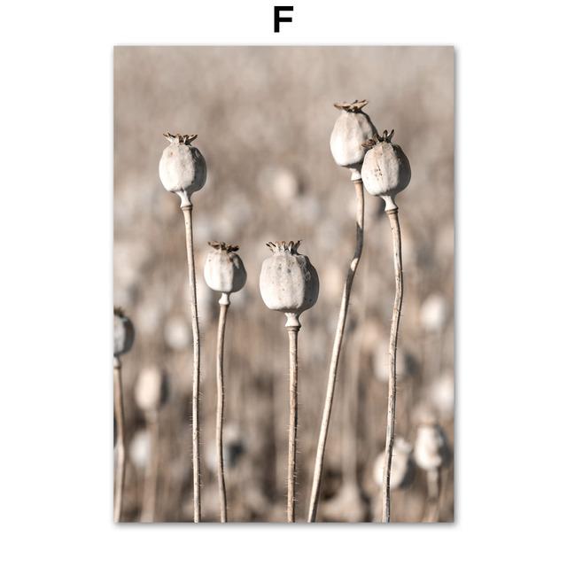 Dandelion Reed Flower Windmill Plant Wall Art Canvas Painting Nordic Posters And Prints Wall Pictures For Living Room Home Decor