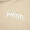 Puma Team Fz Hoodie With Letter Embroidery Loose Fit Zip-Up Sweatshirt Unisex Hoodies Off-White 629953-90
