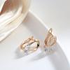 Trend Personality Shiny  Rose Gold Earrings Simple Sexy Korean Party Black Natural Zircon Earrings Fashion Lady Earring